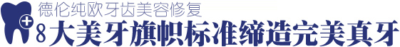 德伦美牙标准