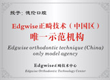 Edgwise��������ʾ������ 