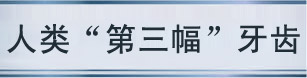 ����������ֲ��ԭ��